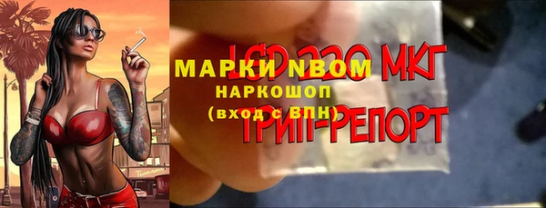 гидра Алзамай