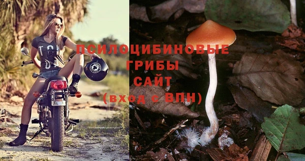 гидра Абдулино