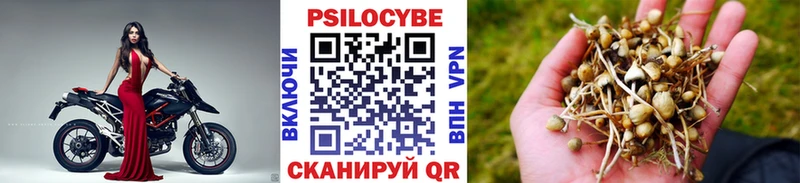 дарк нет Telegram Игарка Псилоцибиновые грибы ЛСД